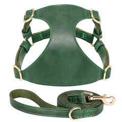 Harnesses Soft Pet Vest With Walking Lead - PeticaDeals