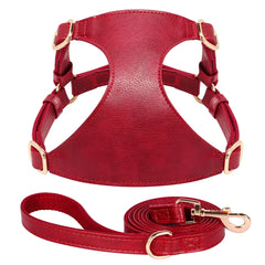 Harnesses Soft Pet Vest With Walking Lead - PeticaDeals