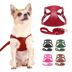Harnesses Soft Pet Vest With Walking Lead - PeticaDeals