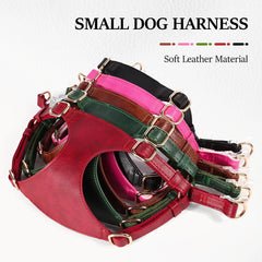 Harnesses Soft Pet Vest With Walking Lead - PeticaDeals