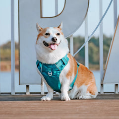 Harnesses Vest Pet Reflective Nylon Walking Running - PeticaDeals