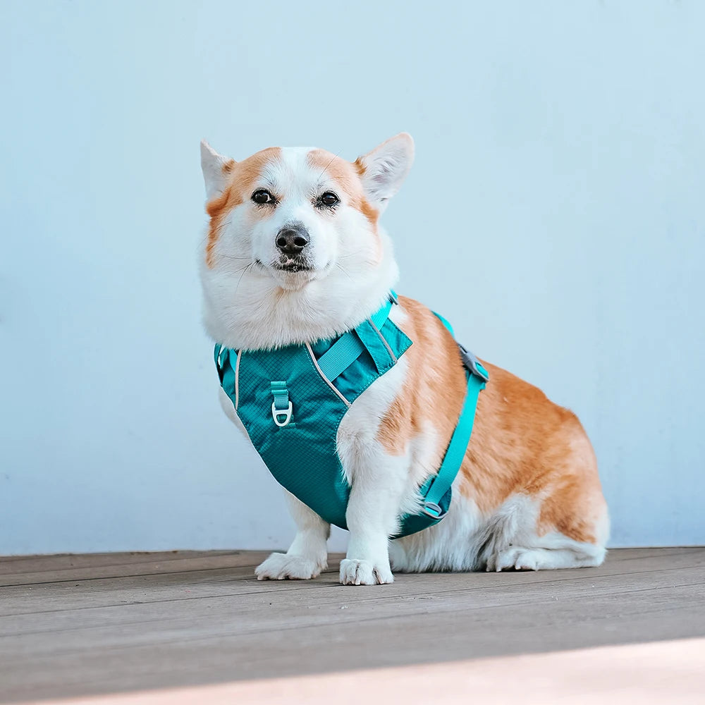 Harnesses Vest Pet Reflective Nylon Walking Running - PeticaDeals