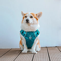 Harnesses Vest Pet Reflective Nylon Walking Running - PeticaDeals