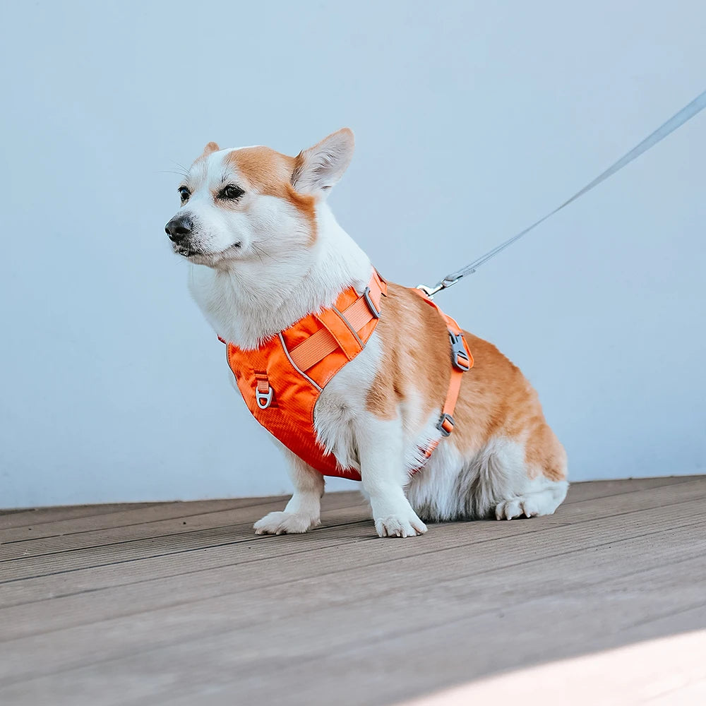 Harnesses Vest Pet Reflective Nylon Walking Running - PeticaDeals