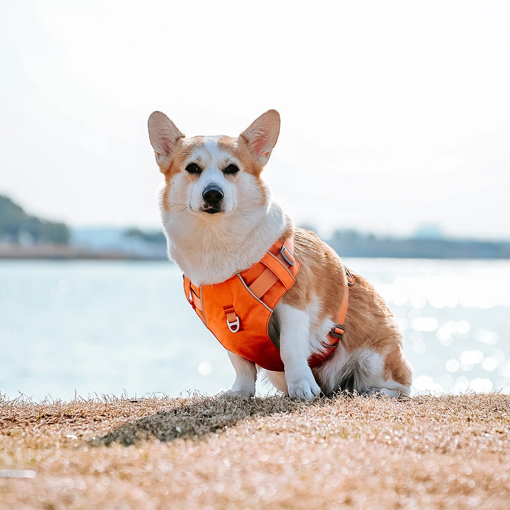 Harnesses Vest Pet Reflective Nylon Walking Running - PeticaDeals