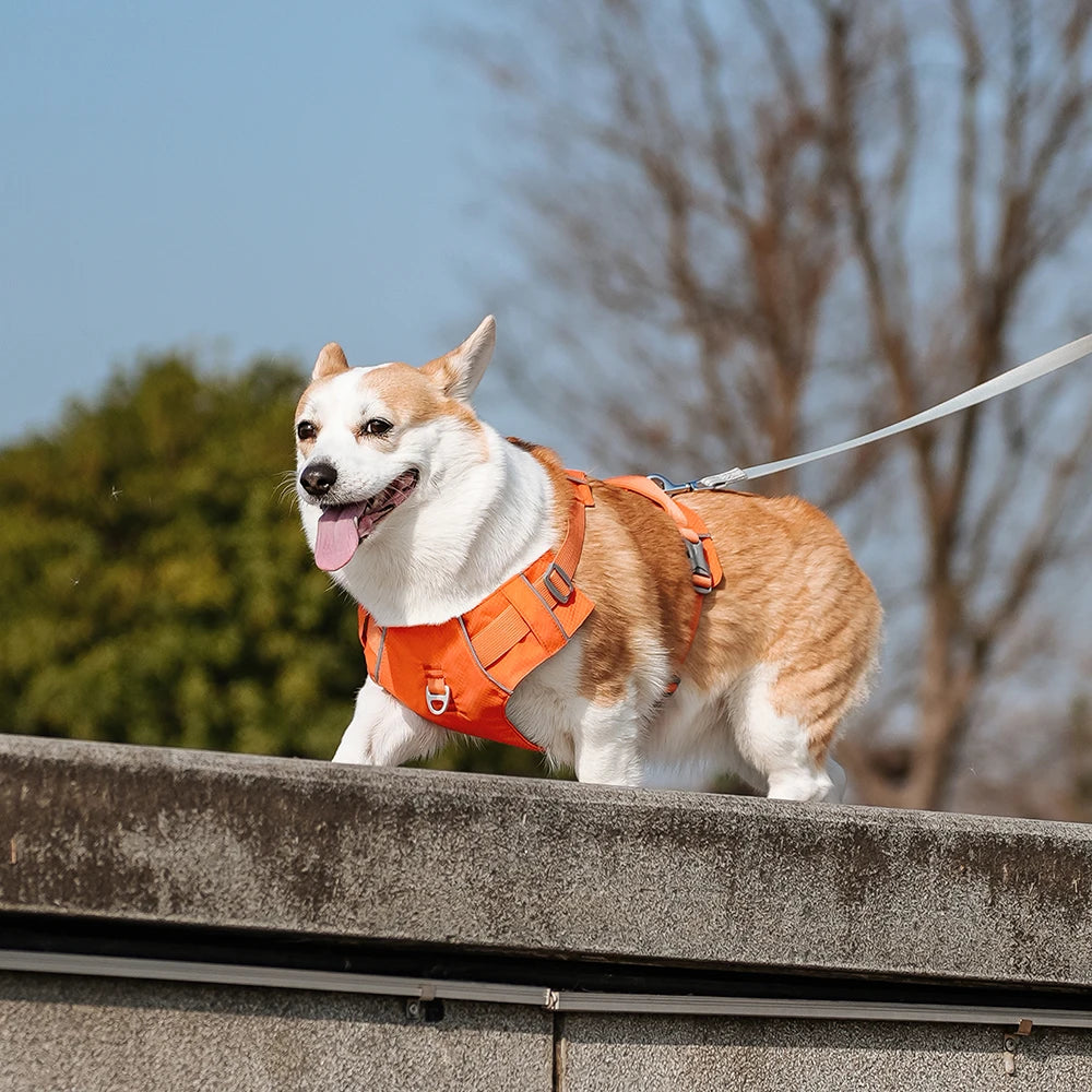 Harnesses Vest Pet Reflective Nylon Walking Running - PeticaDeals