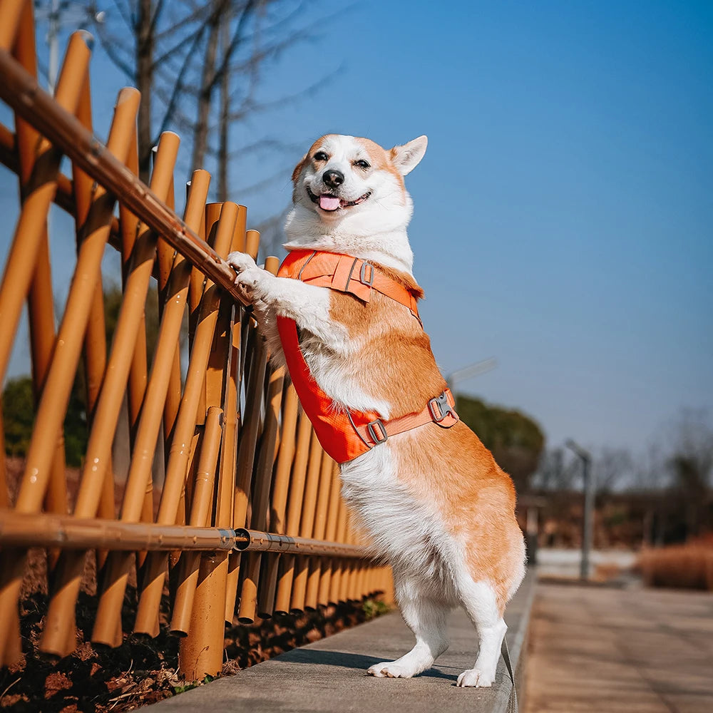 Harnesses Vest Pet Reflective Nylon Walking Running - PeticaDeals