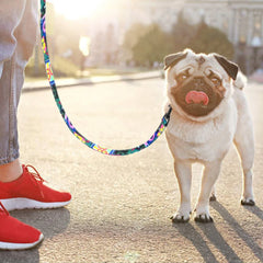 Heavy Duty Dog Leash Rope Nylon Printed Pet Dogs Walking - PeticaDeals