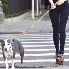Heavy Duty Dog Leash Rope Nylon Printed Pet Dogs Walking - PeticaDeals