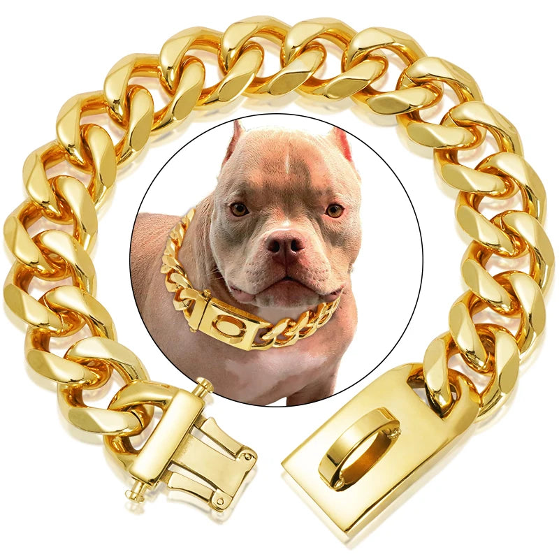 Heavy Duty Gold Dog Collar with Solid Buckle - PeticaDeals