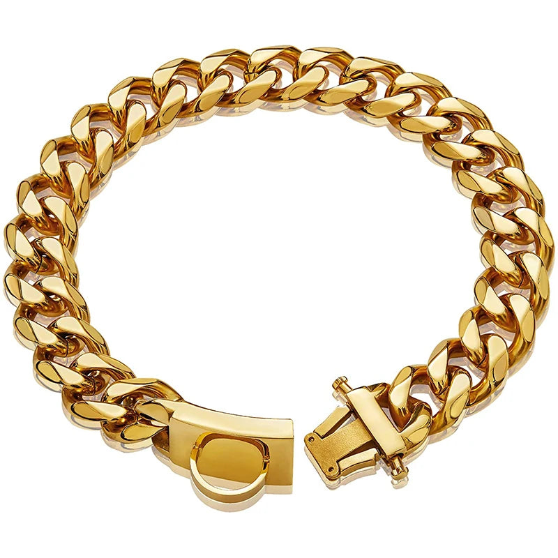 Heavy Duty Gold Dog Collar with Solid Buckle - PeticaDeals