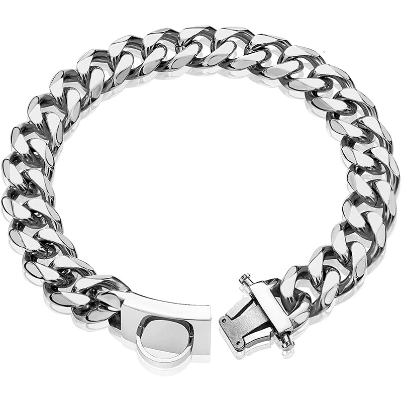 Heavy Duty Gold Dog Collar with Solid Buckle - PeticaDeals