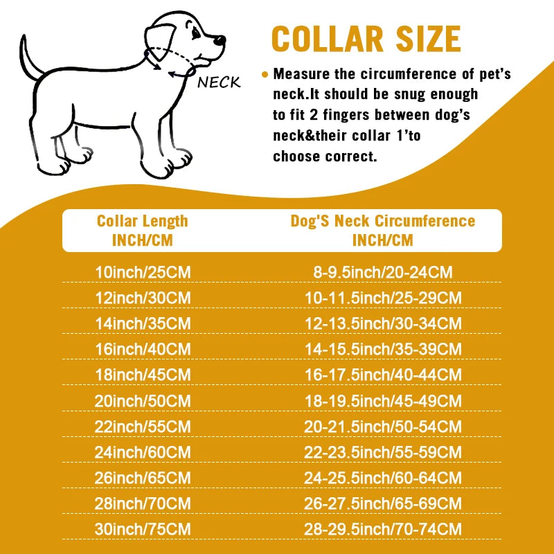 Heavy Duty Gold Dog Collar with Solid Buckle - PeticaDeals