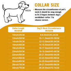 Heavy Duty Gold Dog Collar with Solid Buckle - PeticaDeals