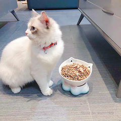 High-Foot Ceramic Lucky Cat Bowl Dog Food Bowl for Cats and Dogs - PeticaDeals