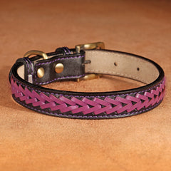 High Quality Leather Dog Braided Durable Pet Collars - PeticaDeals