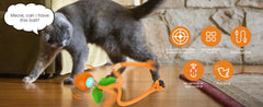 Interactive Cat Toy 3 Working Modes Irregular Motion Trajectory Cat Toys for Indoor Cats Self Play - PeticaDeals