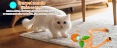 Interactive Cat Toy 3 Working Modes Irregular Motion Trajectory Cat Toys for Indoor Cats Self Play - PeticaDeals