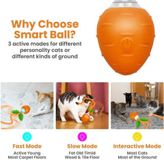 Interactive Cat Toy 3 Working Modes Irregular Motion Trajectory Cat Toys for Indoor Cats Self Play - PeticaDeals
