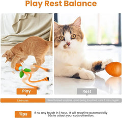 Interactive Cat Toy 3 Working Modes Irregular Motion Trajectory Cat Toys for Indoor Cats Self Play - PeticaDeals