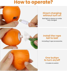 Interactive Cat Toy 3 Working Modes Irregular Motion Trajectory Cat Toys for Indoor Cats Self Play - PeticaDeals