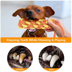 Interactive Cotton Rope Dog Toys Bite-Resistant Pet - PeticaDeals