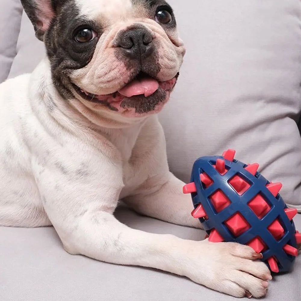 Interactive Toys Dog Toothbrush - PeticaDeals