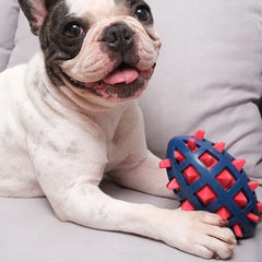 Interactive Toys Dog Toothbrush - PeticaDeals