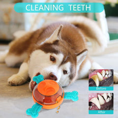 Interactive Treat Dispenser For Pet Toys - PeticaDeals