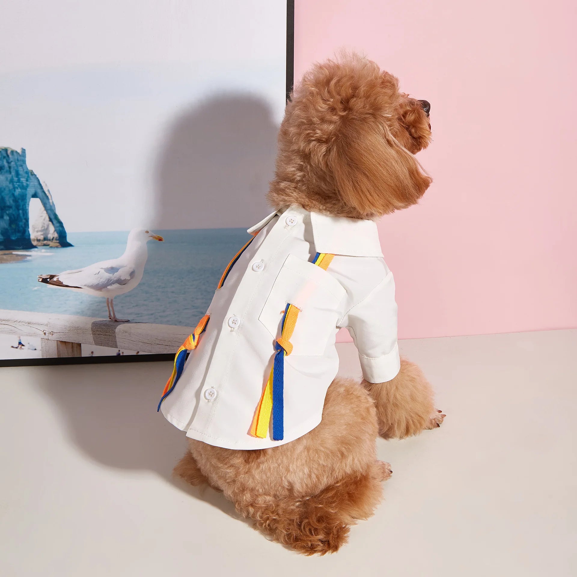 Korean Style Spring Summer Dog Shirt T-Shirt - PeticaDeals