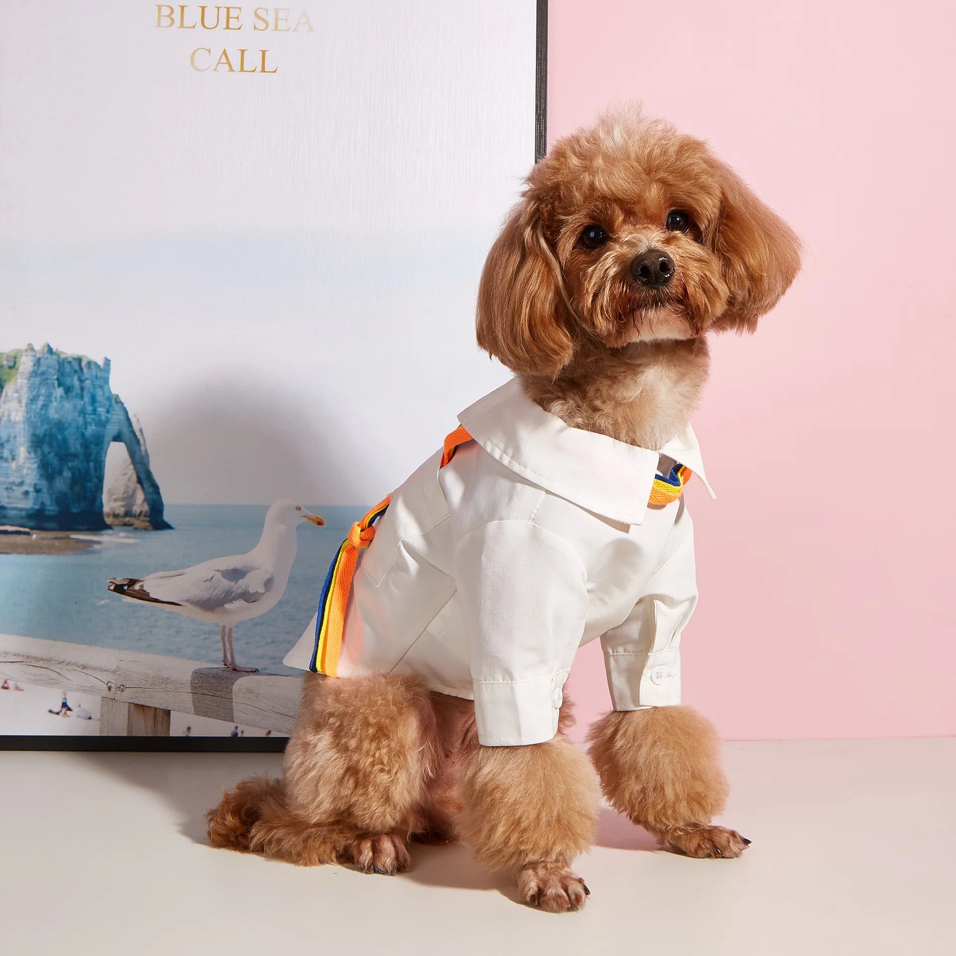 Korean Style Spring Summer Dog Shirt T-Shirt - PeticaDeals