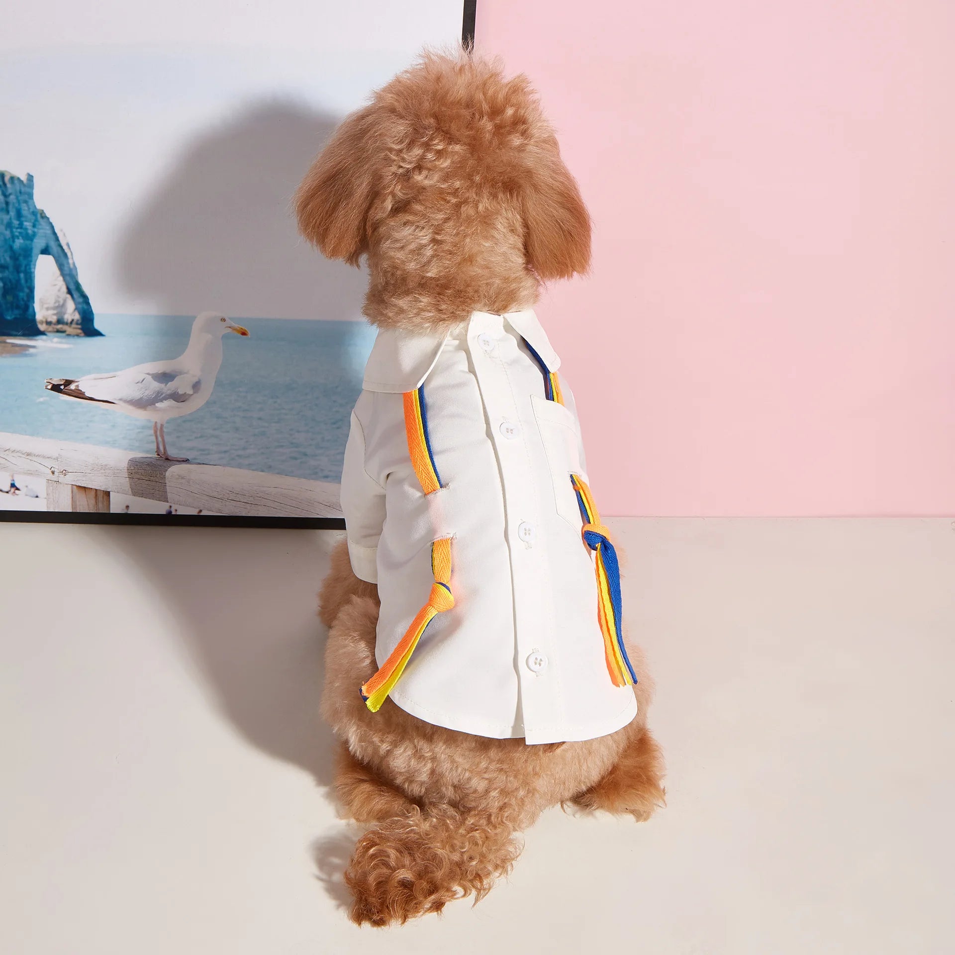 Korean Style Spring Summer Dog Shirt T-Shirt - PeticaDeals