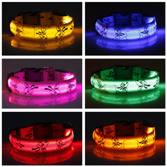LED Dog Collar Light Night Safety Nylon - PeticaDeals
