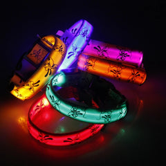 LED Dog Collar Light Night Safety Nylon - PeticaDeals