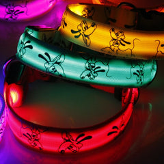 LED Dog Collar Light Night Safety Nylon - PeticaDeals