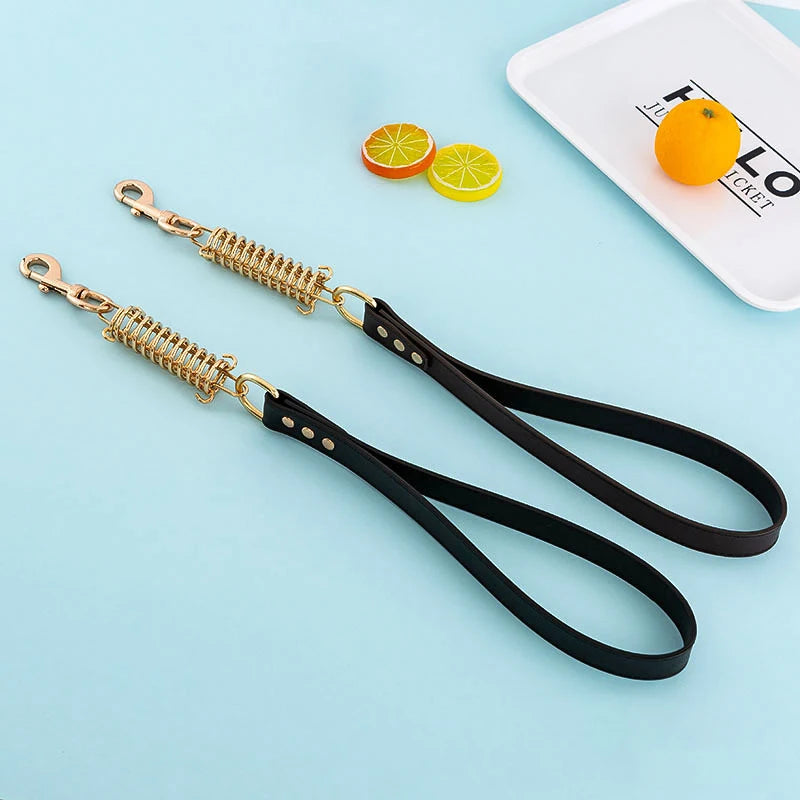Leash Dog with Metal Alloy Buckle Buffer Spring - PeticaDeals