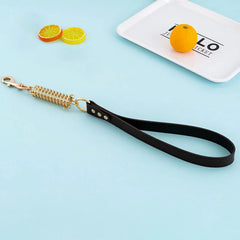 Leash Dog with Metal Alloy Buckle Buffer Spring - PeticaDeals