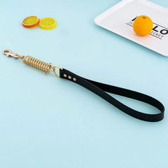 Leash Dog with Metal Alloy Buckle Buffer Spring - PeticaDeals