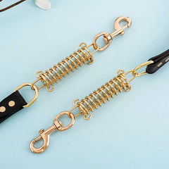 Leash Dog with Metal Alloy Buckle Buffer Spring - PeticaDeals