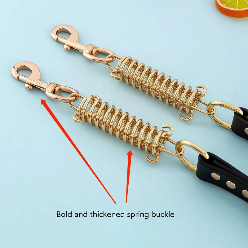 Leash Dog with Metal Alloy Buckle Buffer Spring - PeticaDeals
