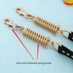Leash Dog with Metal Alloy Buckle Buffer Spring - PeticaDeals