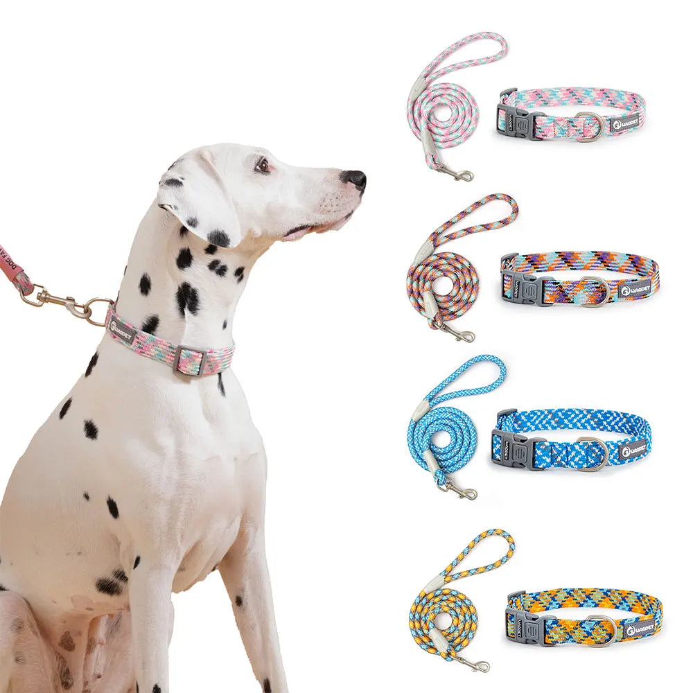 Leashes Collar Set Dogs - PeticaDeals