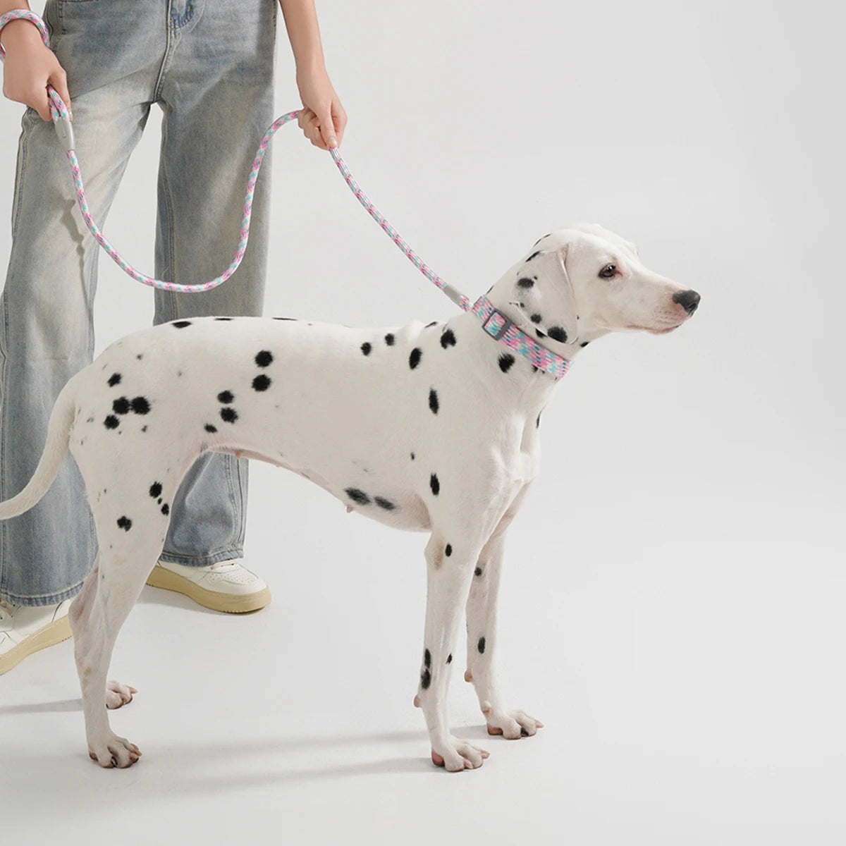 Leashes Collar Set Dogs - PeticaDeals