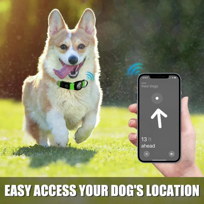 Led Luminous Heavy Duty Dog Collar with AirTag Case Rechargeable Adjustable - PeticaDeals