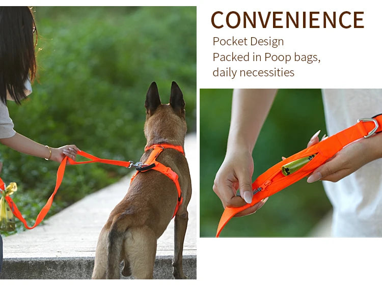 Lightweight Double Handle Dog Leash For Small Medium & Large - PeticaDeals
