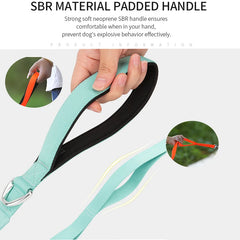 Lightweight Double Handle Dog Leash For Small Medium & Large - PeticaDeals