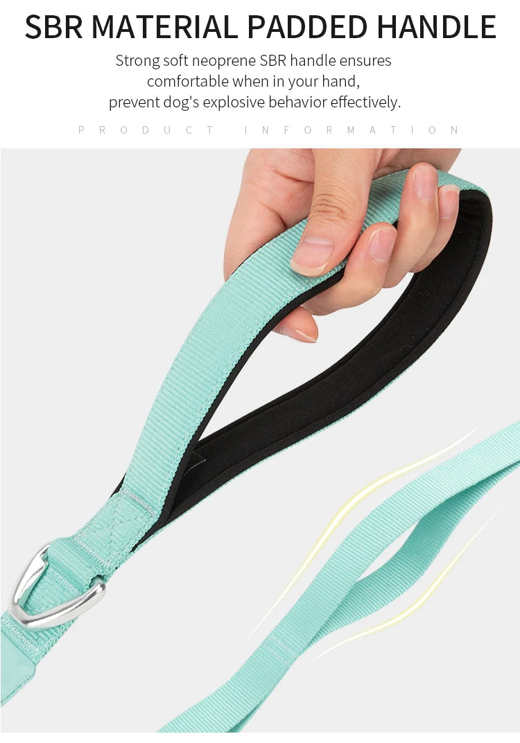 Lightweight Double Handle Dog Leash For Small Medium & Large - PeticaDeals