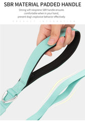 Lightweight Double Handle Dog Leash For Small Medium & Large - PeticaDeals
