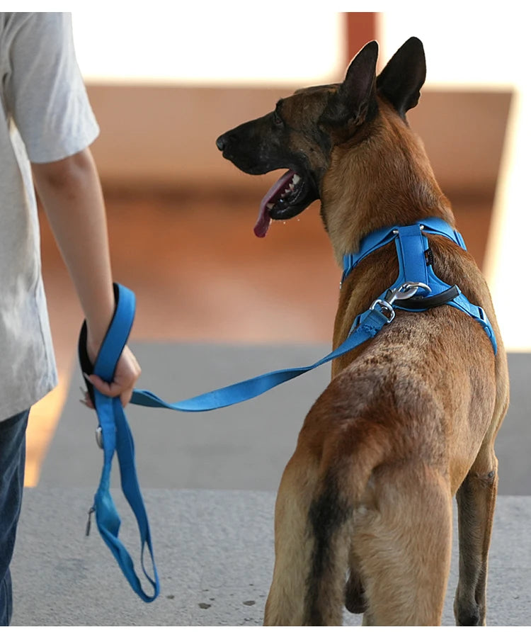 Lightweight Double Handle Dog Leash For Small Medium & Large - PeticaDeals