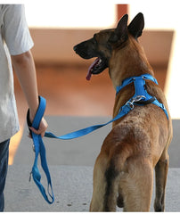 Lightweight Double Handle Dog Leash For Small Medium & Large - PeticaDeals